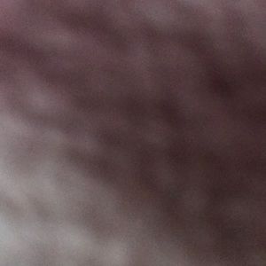 Meet your Posher, Ida